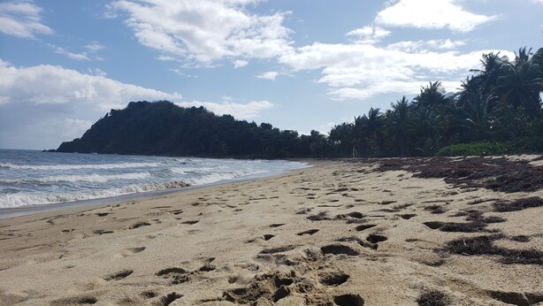 A sandy beach with footprints, a clear sky, and a distant hill. - NATURE LOVER'S ESCAPE!-on 3200 acre reserve with miles of a "Cast A Way" beach.  (Punta Santiago)