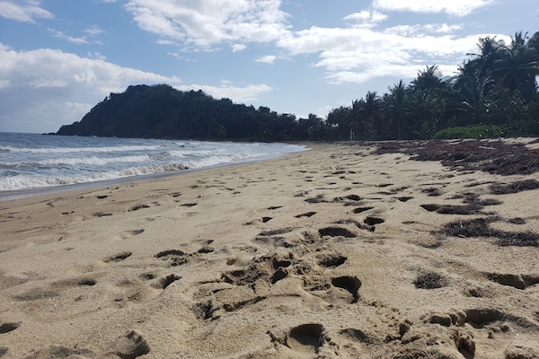 På stranden, solsenger og strandhåndklær