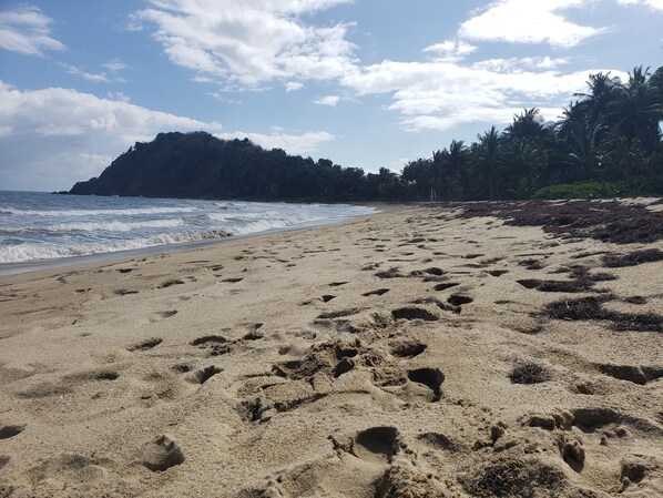 On the beach, sun loungers, beach towels