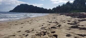NATURE LOVER'S ESCAPE!-on 3200 acre reserve with miles of a "Cast A Way" beach. 