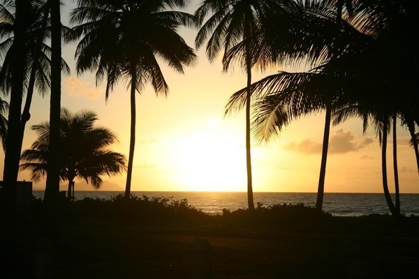 Morning at the beach. Welcome to our home.
