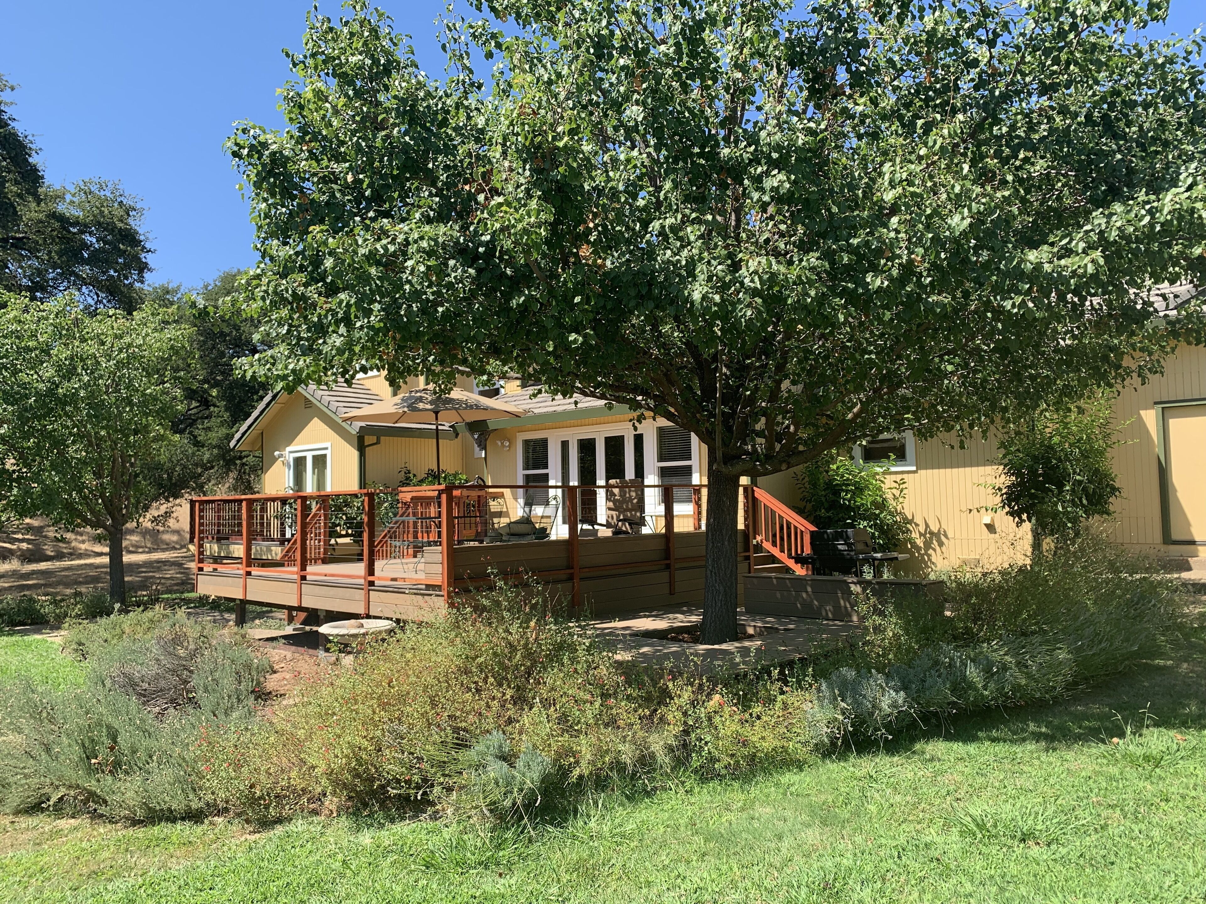 Gorgeous House with Cherry Orchard in Sierra Foothills!