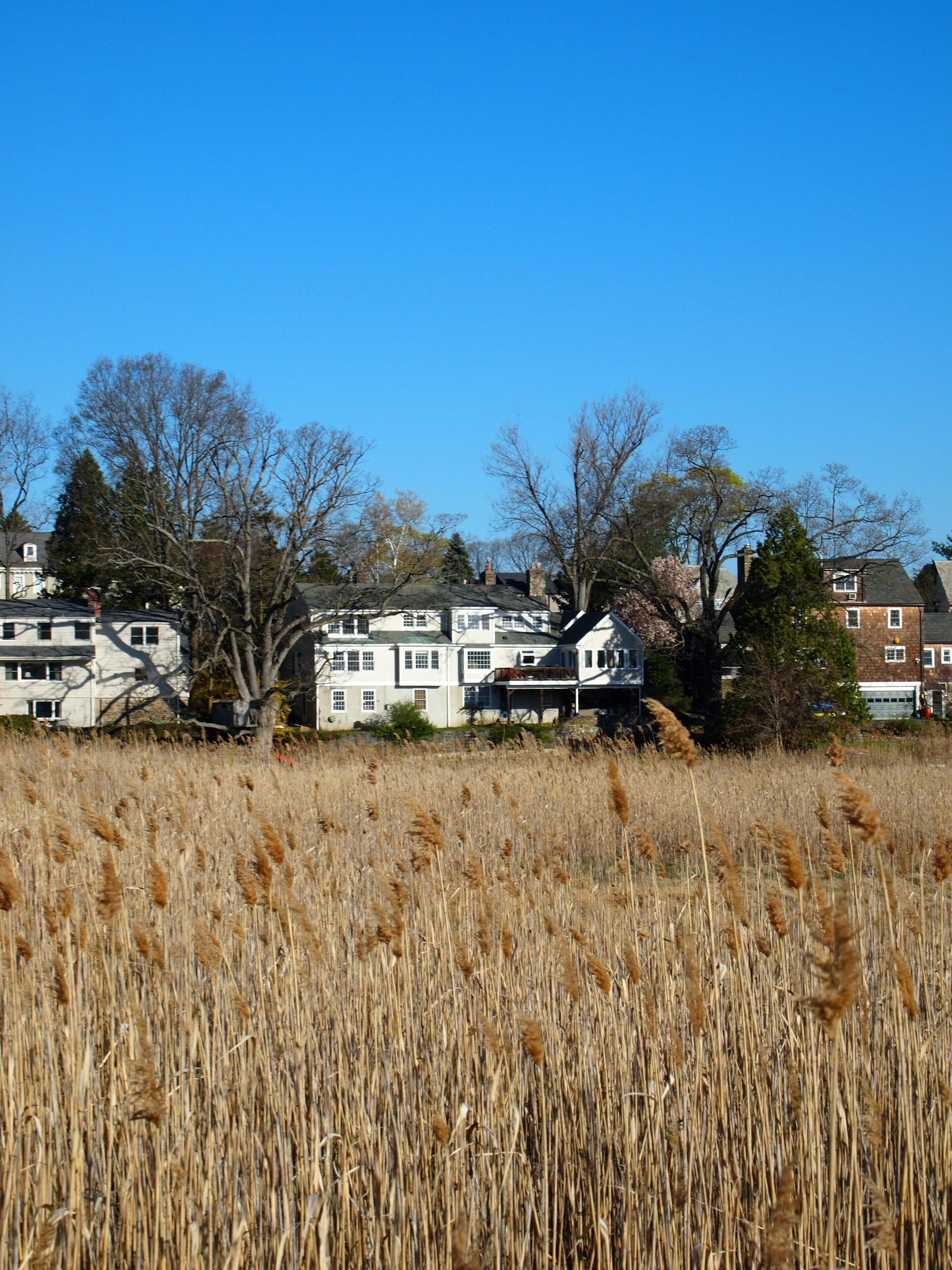 Spacious House Next To Nature Preserve Adjacent To Long Island Sound