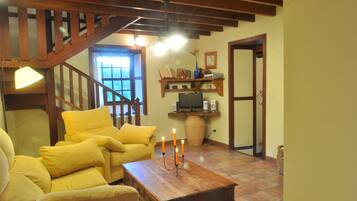 Télévision, cheminée, lecteur de DVD, livres