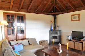 TV, fireplace, books, stereo - Casa Cha Miquela Pequena, Rural tourism near the stars (Isla de La Palma)