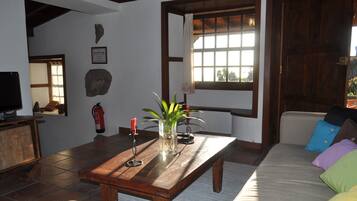 Télévision, cheminée, livres, chaîne hi-fi