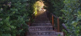 Complex of apartments & studio, full-equipped, in a large, beautiful garden