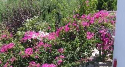 Complex of apartments & studio, full-equipped, in a large, beautiful garden