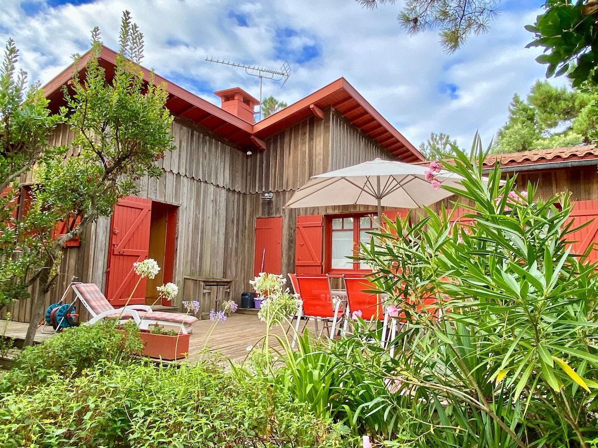 A wooden building with a red roof, a covered patio with chairs and an umbrella, and a garden with various plants.
