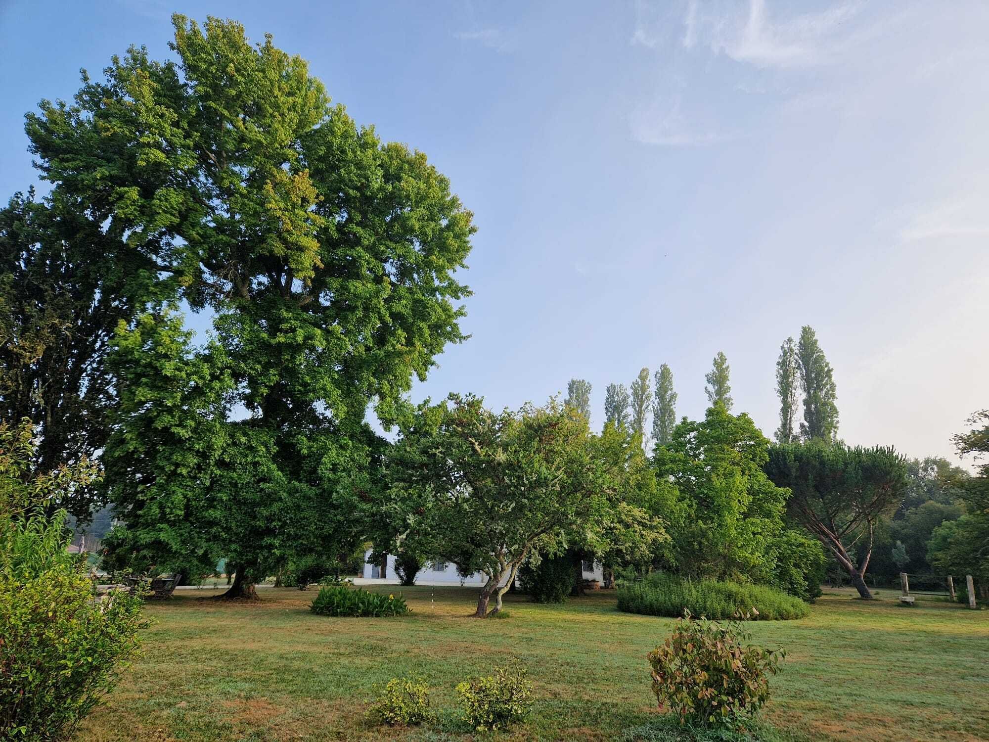 Overnatningsstedets område