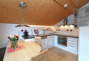 Kühlschrank, Ofen, Herdplatte, Geschirrspüler