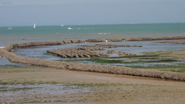 A coastal scene with rocky formations and calm waters. - House close to all shops (Saint-Denis-d'Oléron)