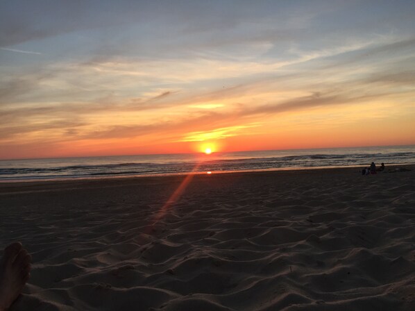 بالقرب من الشاطئ، كراسي للتشمس