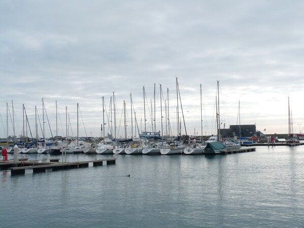 Moored sailboats line the marina's piers, offering a serene waterfront setting.