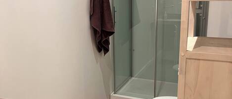 A bathroom with a glass shower enclosure, a toilet, and a wooden cabinet.