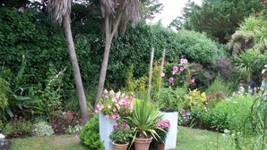 Un exuberante jardín con diversas plantas y flores, una estructura blanca y un sendero.
