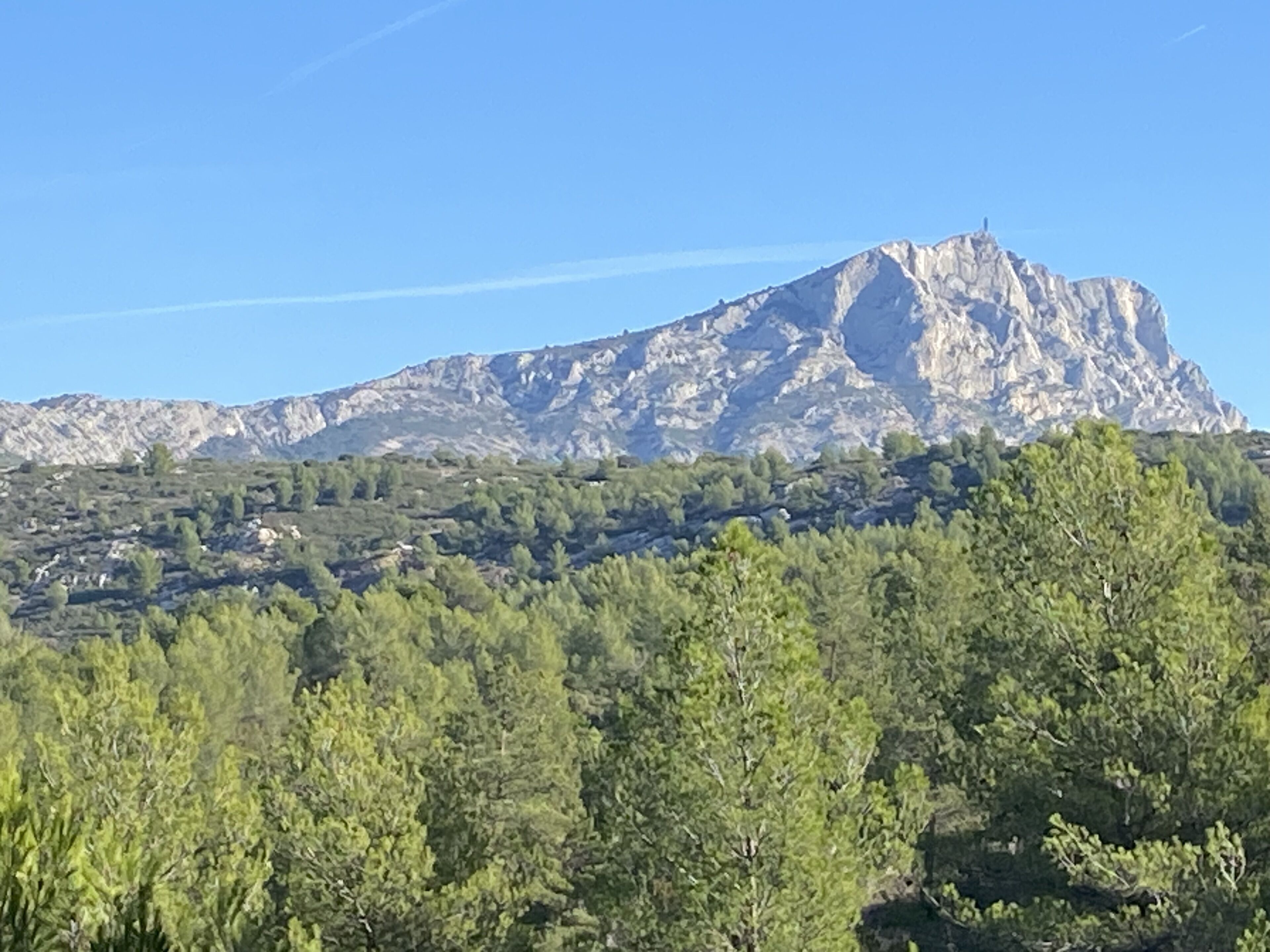 Una montagna con una cima rocciosa e una parte anteriore boscosa.