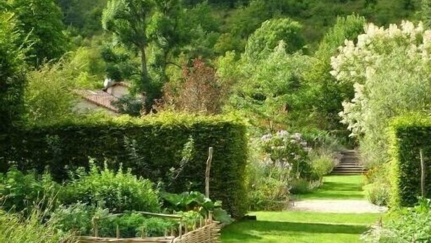 Un chemin de jardin bordé de haies soigneusement taillées et agrémenté d’un panier en osier.