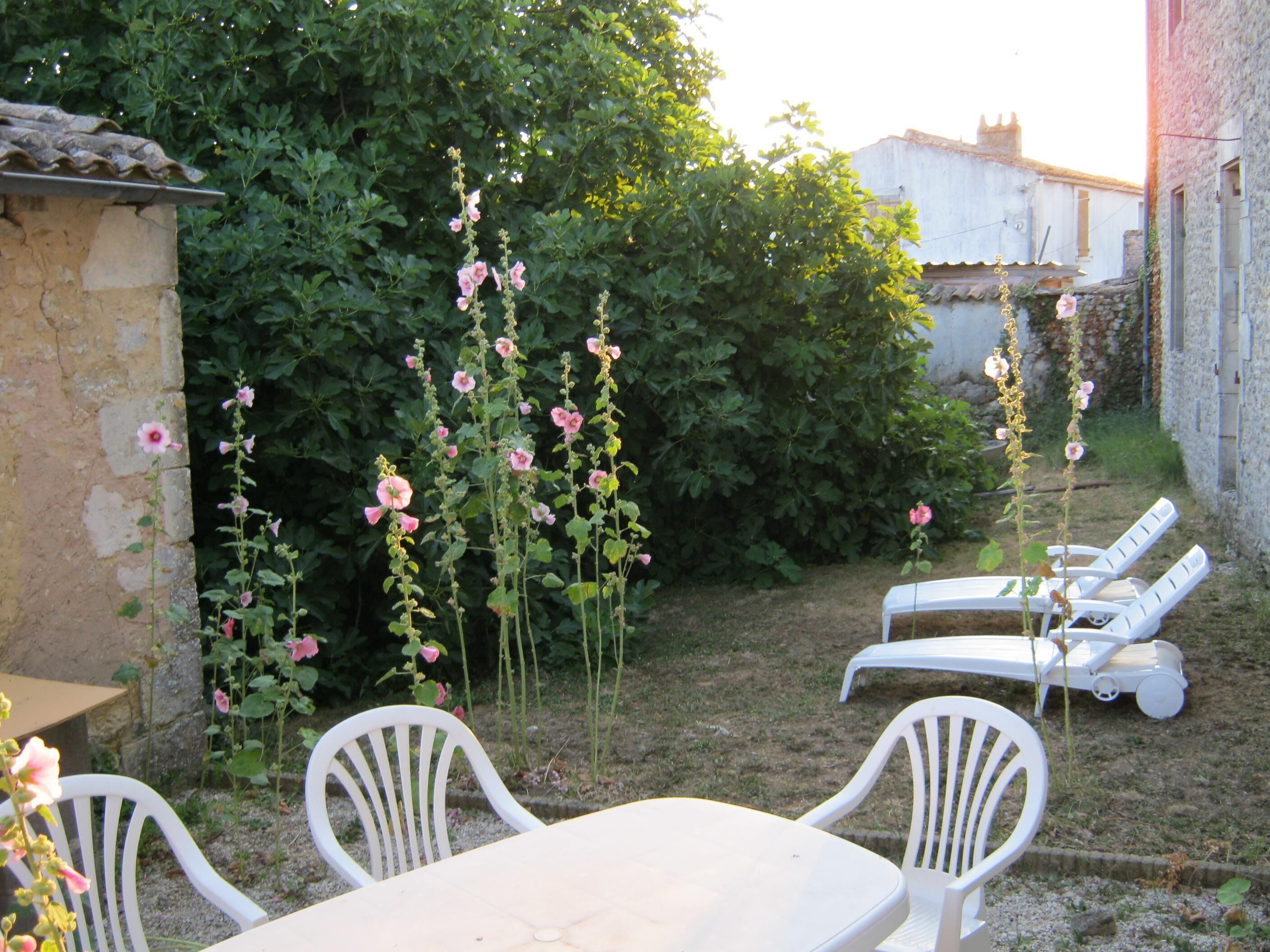 Une terrasse avec une table et des chaises, un mur blanc et un jardin agrémenté de fleurs et de verdure.