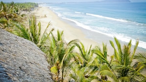 A beach with palm trees and a clear view of the ocean. - Secluded Beachfront Sanctuary w/ Epic Sunsets & Palapa Lounge (Higuera Blanca)