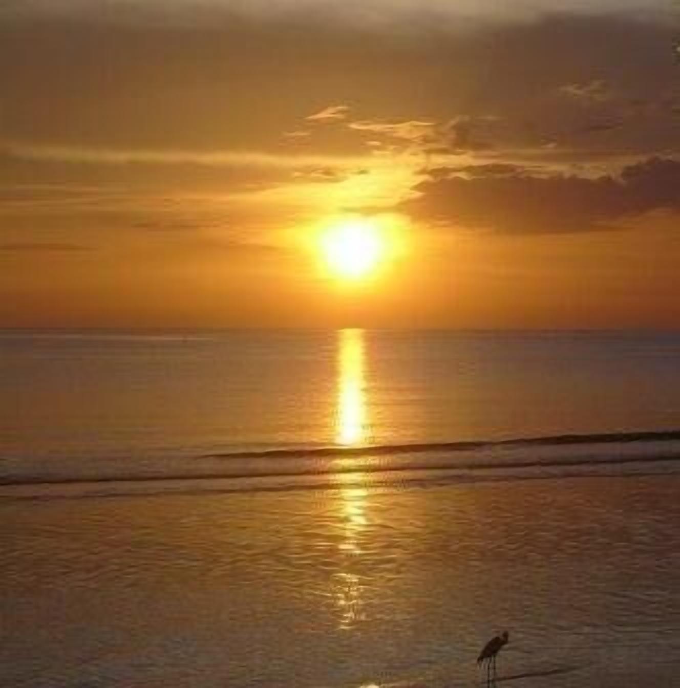 Aan het strand, ligstoelen aan het strand