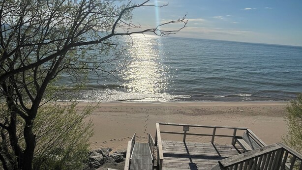Un escalier en bois mène à une plage d’où l’on a une vue dégagée sur l’océan, avec un arbre au premier plan.