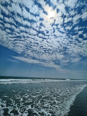 On the beach - Take a look at how cute this place is! One week open in August. Book fall dates! (Surfside Beach)
