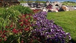 En restaurang vid sjön med uteservering och parasoller, omgiven av färgstarka blommor och med utsikt över sjön.