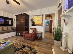 Smart TV, fireplace, books
