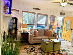 Smart TV, fireplace, books