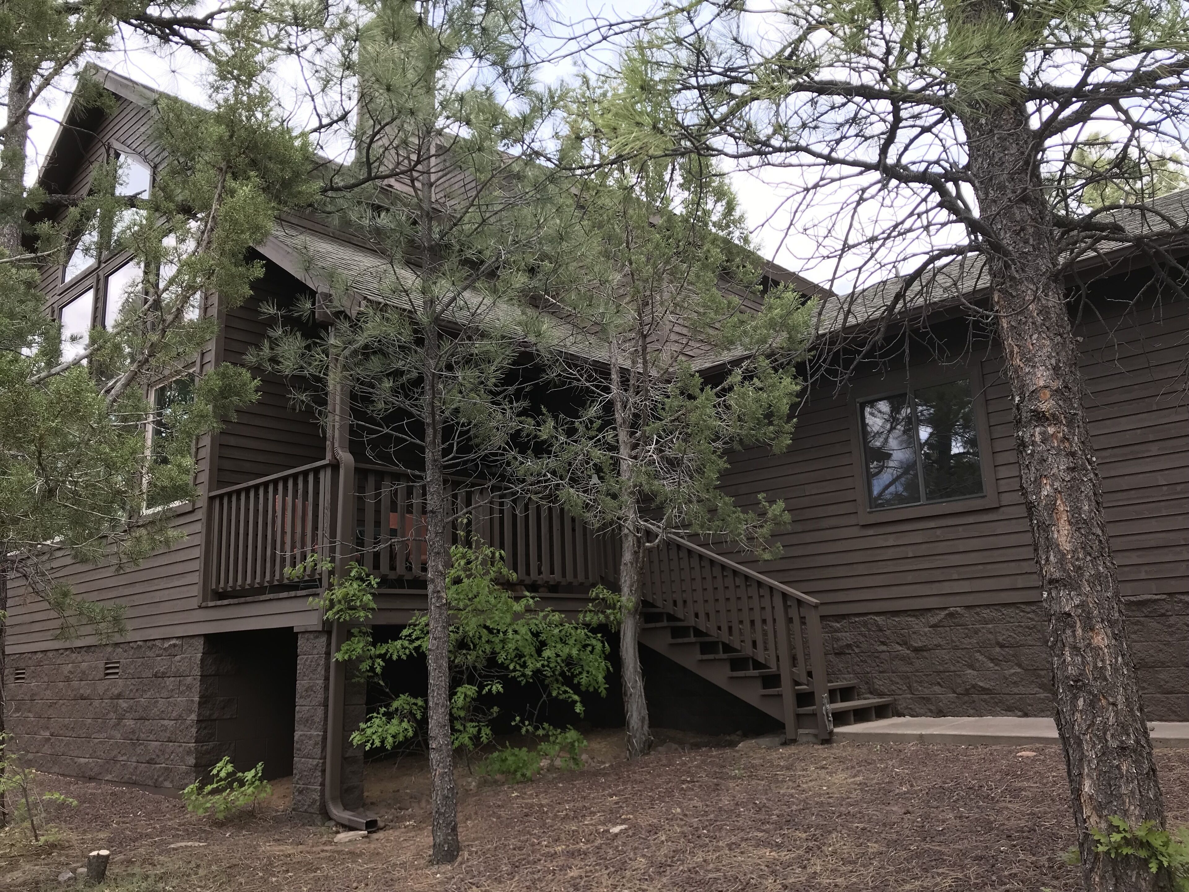 White Mountain Memories in Sierra Pines