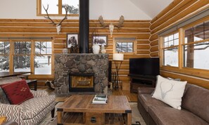 TV, fireplace, video game console, stereo