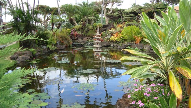 A serene garden with a pond, lush greenery, and a small stone bridge. - Eastside Zen Retreat, Pono Kai
4/25-5/3 - Discounted 15% (Kapa'a)