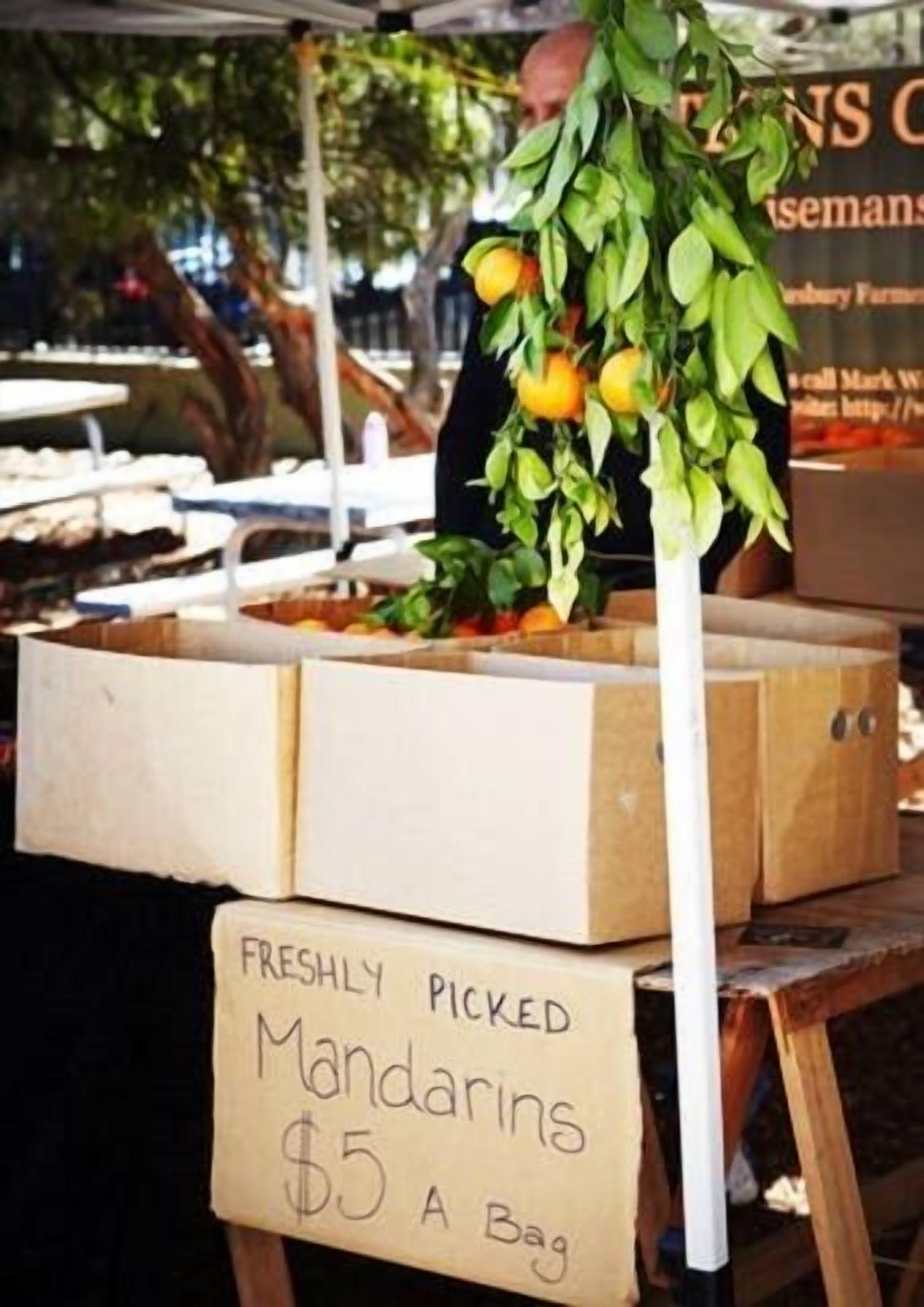 Bondi Beach Break Accommodation — image 7