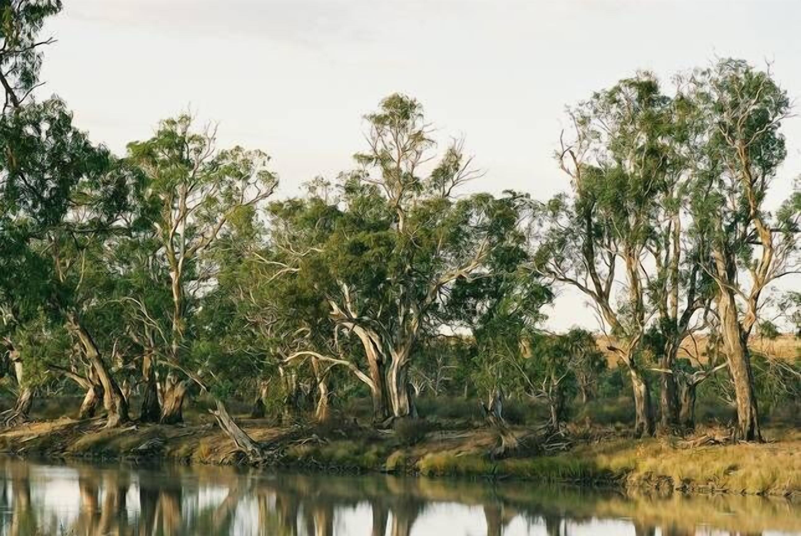 Portee a Murray River Outback Homestead. A picture of outback Australia — image 24