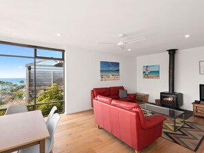 TV, fireplace, DVD player, stereo