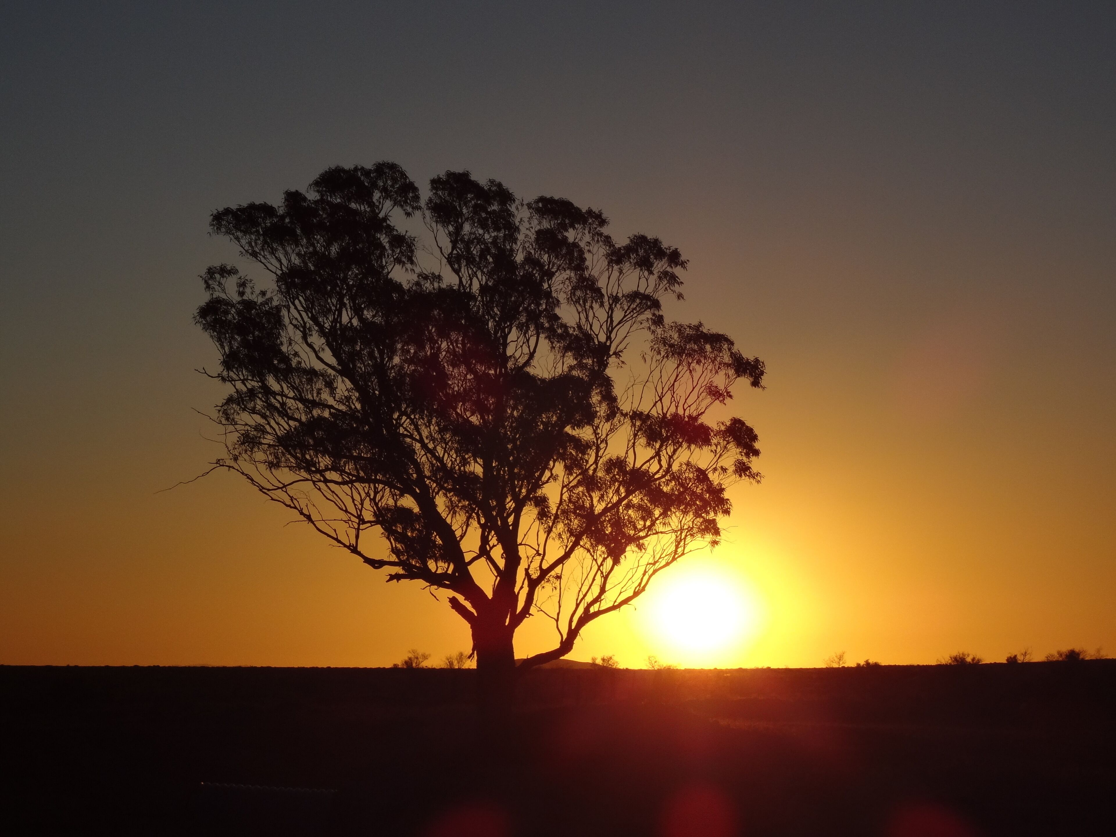 Savings Bank of South Australia - Old Quorn Branch -  stay in an old bank — image 27