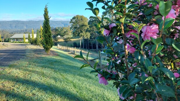 A grassy area with a fence, trees, and a building in the background. - Highfields Country group Cottage  2 Bedroom (Kurrajong)