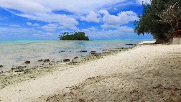 Une plage à l’eau turquoise et limpide, un rivage sablonneux et une petite île en arrière-plan, parsemée de palmiers.