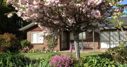 Dewdrop Cottage - a very special place to stay