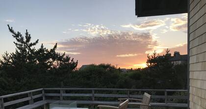 Grey Seal: máxima relajación en la playa con conservación: totalmente renovado