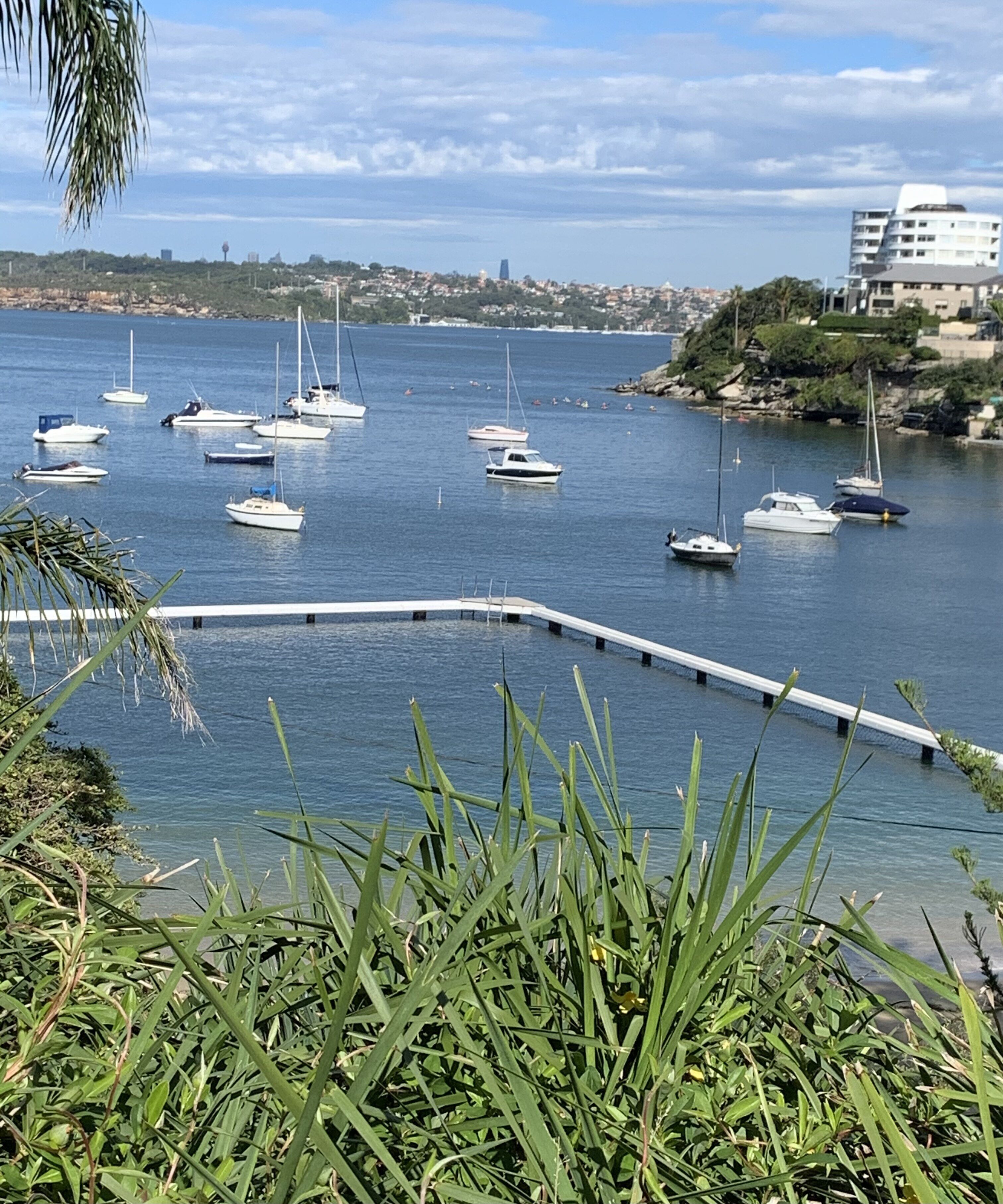 Little Manly Beach Sanctuary — image 5