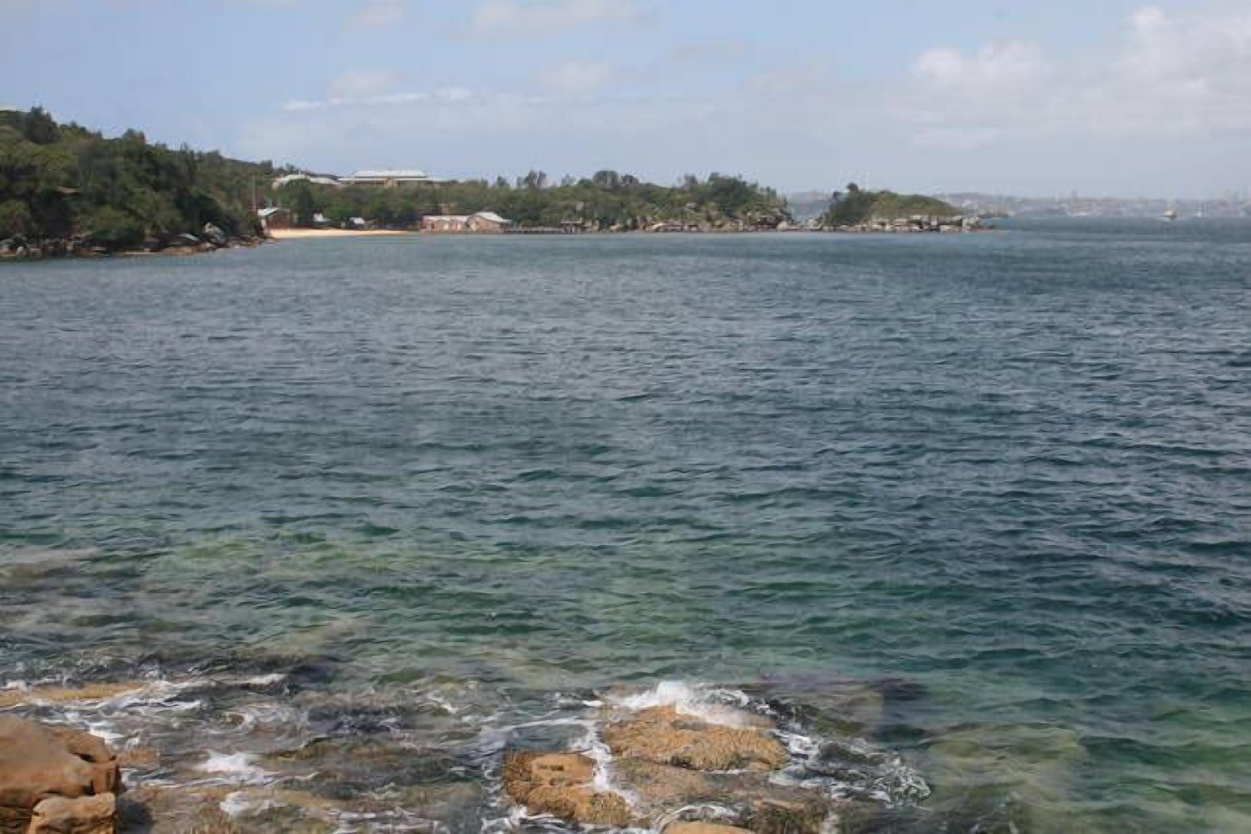 Little Manly Beach Sanctuary — image 15