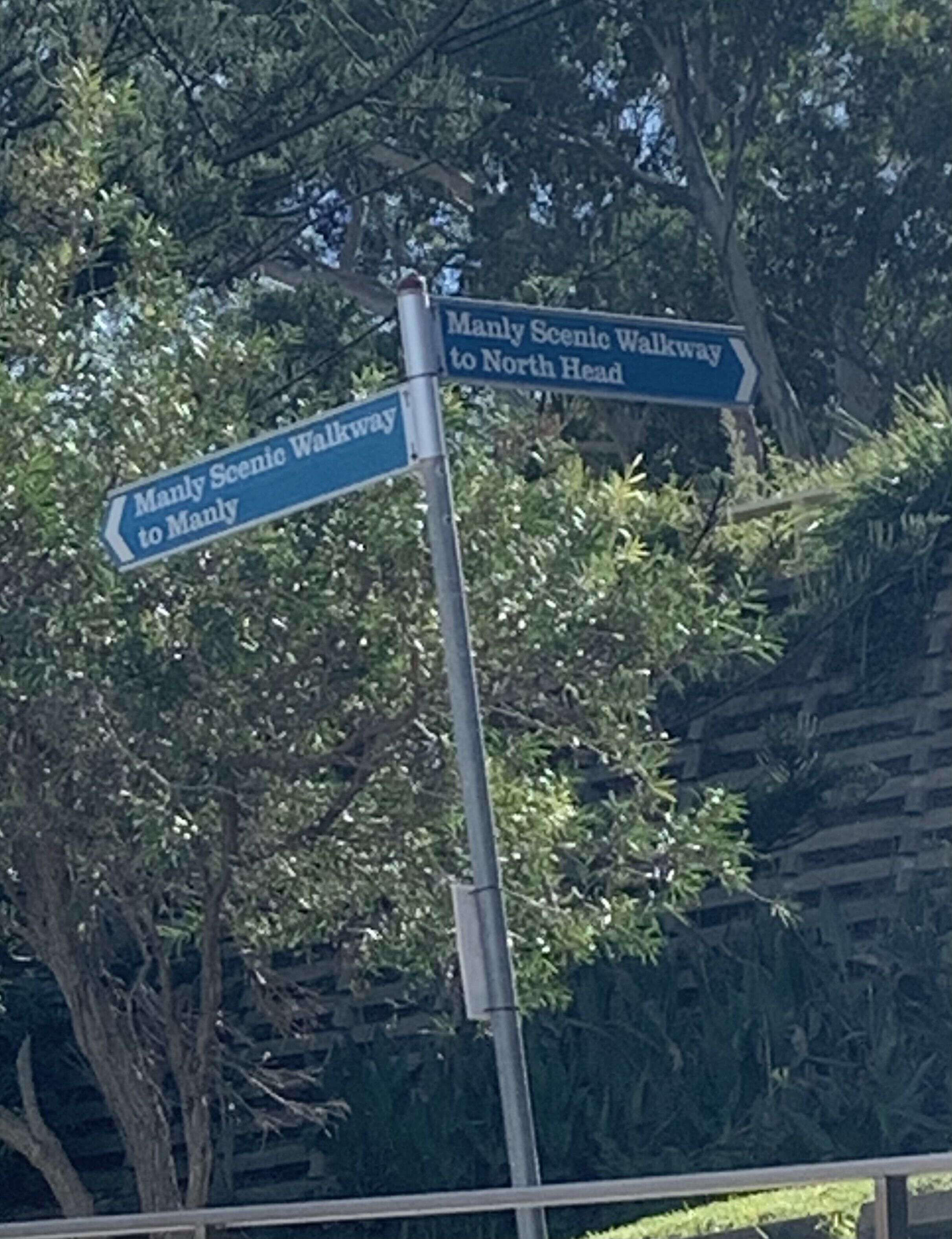 Little Manly Beach Sanctuary — image 16