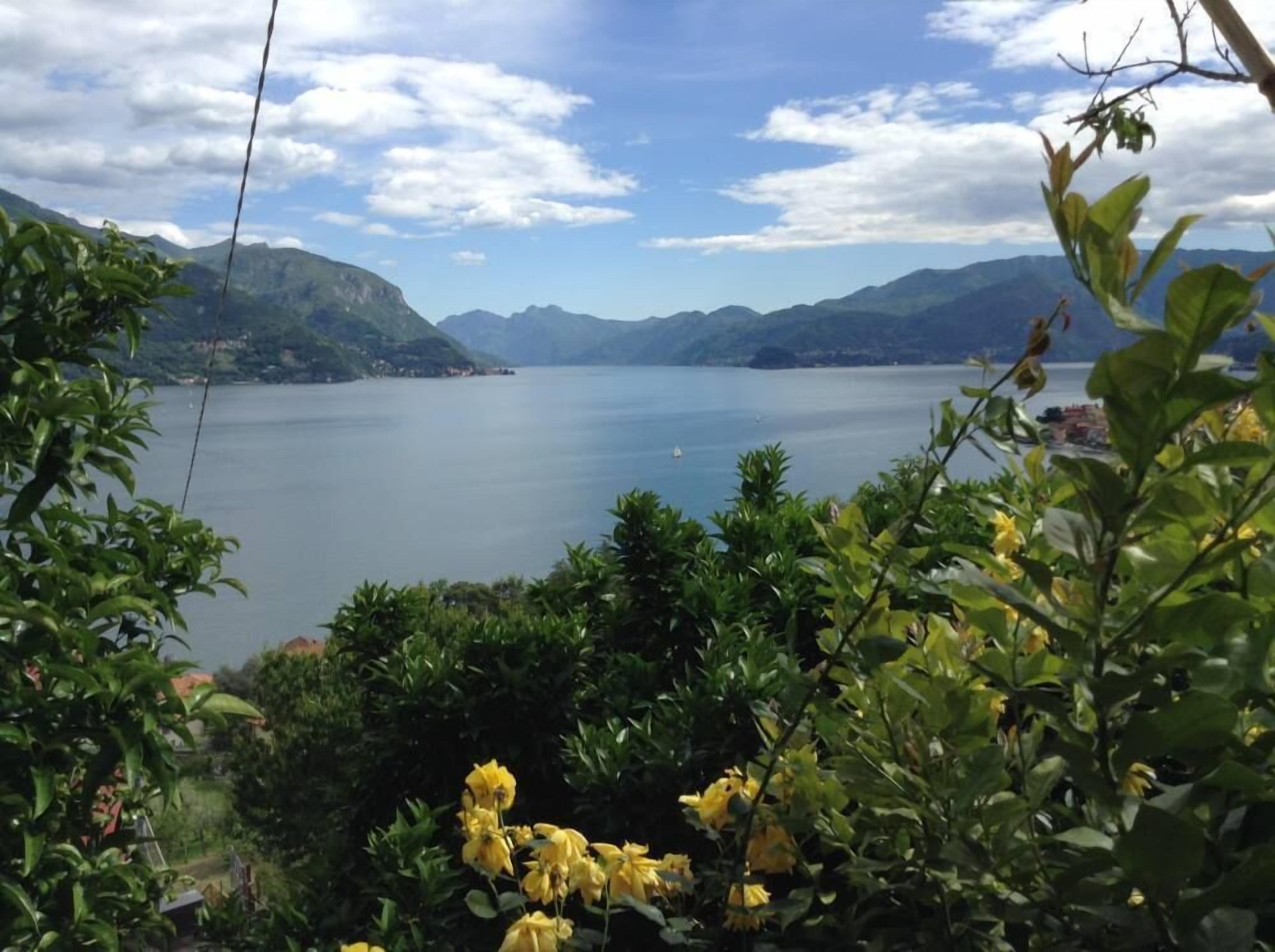 Une vue sur un lac, avec des montagnes en arrière-plan et une végétation luxuriante au premier plan.