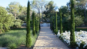 Un sentiero circondato da alberi alti e stretti e cespugli fioriti di bianco, che conduce a una panchina in pietra in un giardino curato.