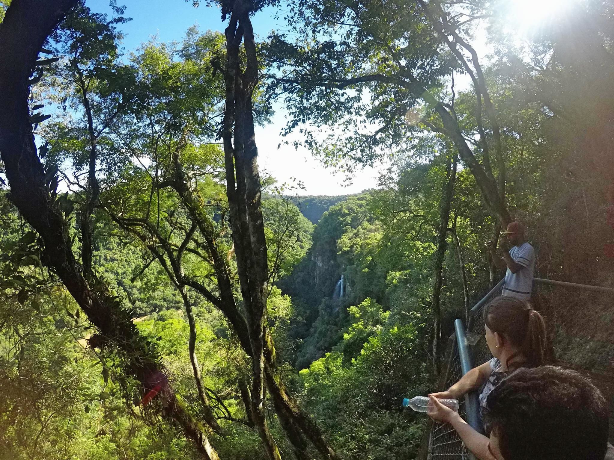 A person standing on a bridge overlooking a lush valley with a waterfall.