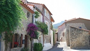 A narrow street with stone buildings, some with balconies and greenery.