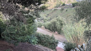 A pathway leading through a landscaped area with a variety of plants and a distant view of a hillside with buildings. - Luxurious 'finca' With Private Pool In The 'campo' (Cómpeta)