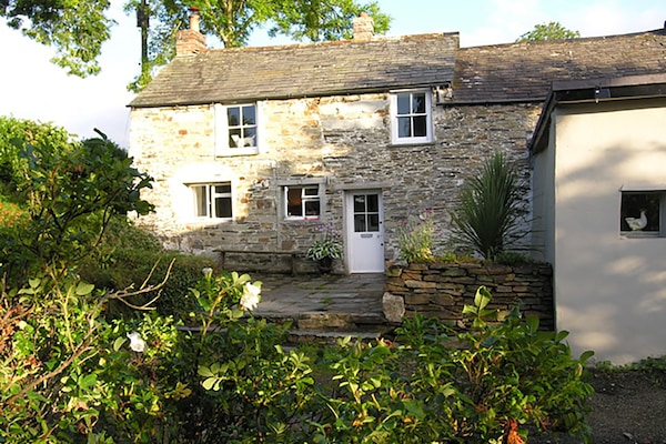 Middle Treneague front of house